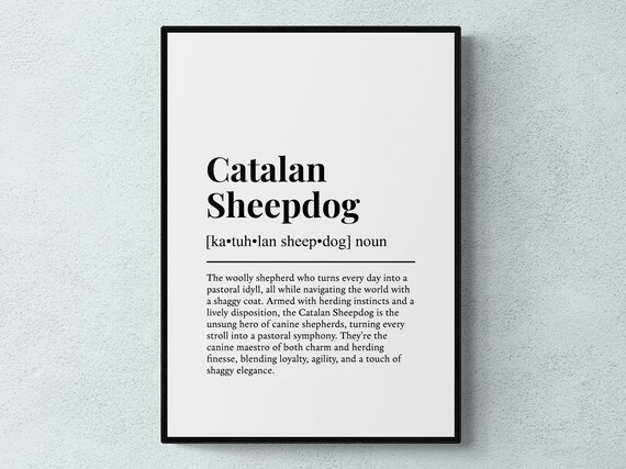 Catalan Sheepdog Funny Definition Dog Wall Art Print