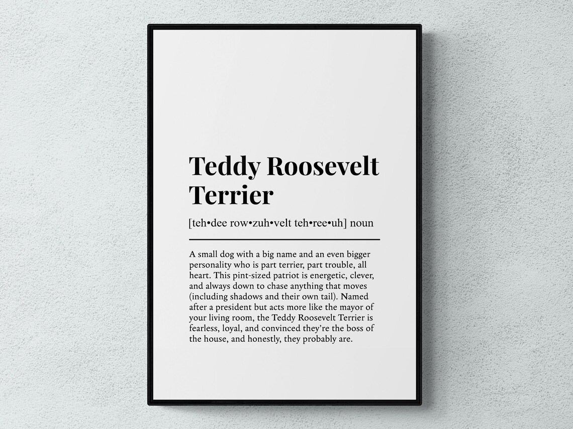 Teddy Roosevelt Terrier Funny Definition Dog Wall Art Print