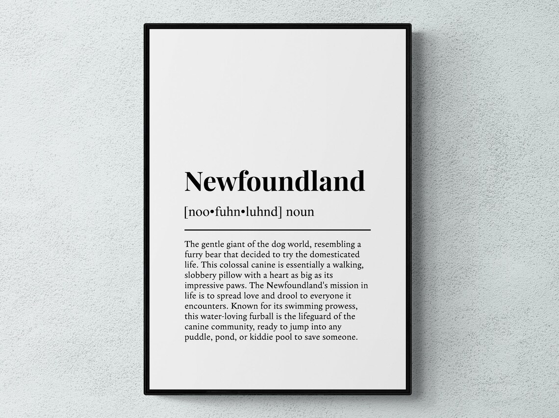Newfoundland Dog Funny Dictionary Definition Black White Poster