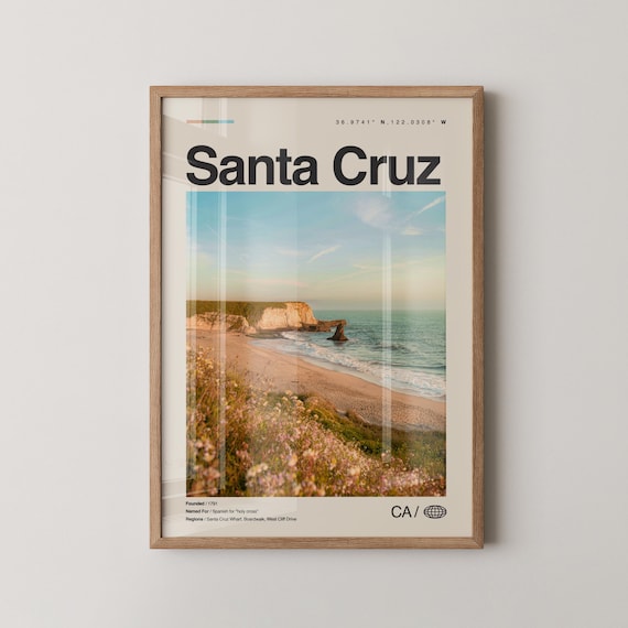 Santa Cruz Cliff Beach Wildflowers Ocean Travel Photo Poster