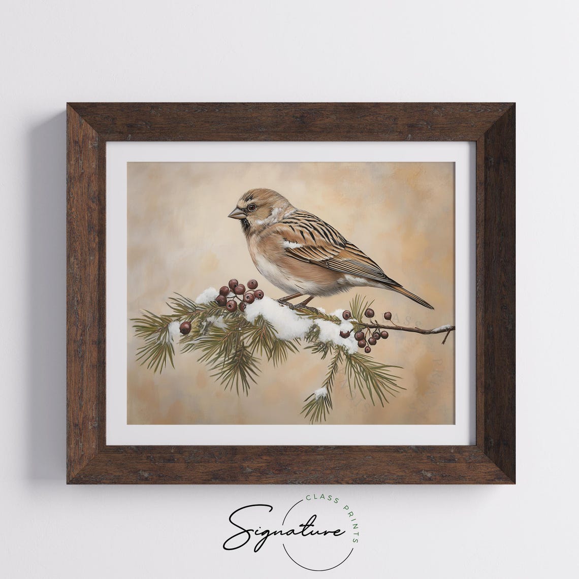 Linnet On Snowy Pine Branch With Juniper Berries Vintage Print - Image 4