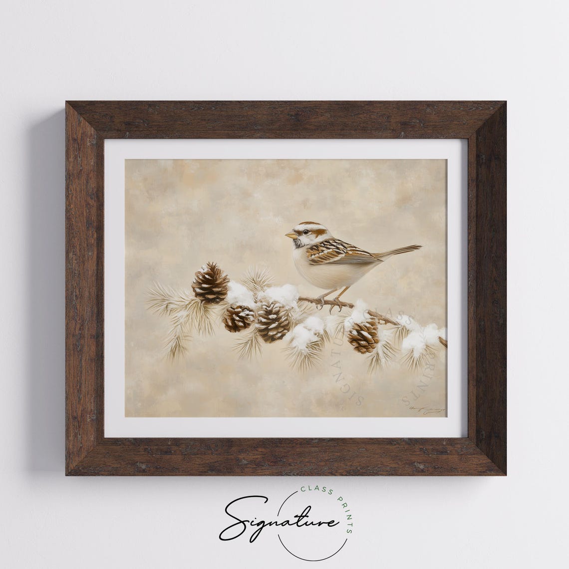 White Crowned Sparrow Perched On Snowy Pine Branch Winter Print - Image 4