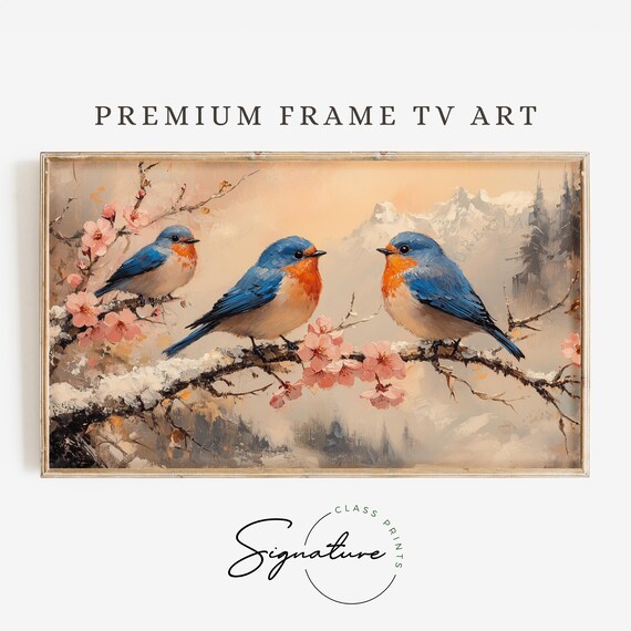 Three Bluebirds On Snowy Cherry Branch Misty Mountain Poster