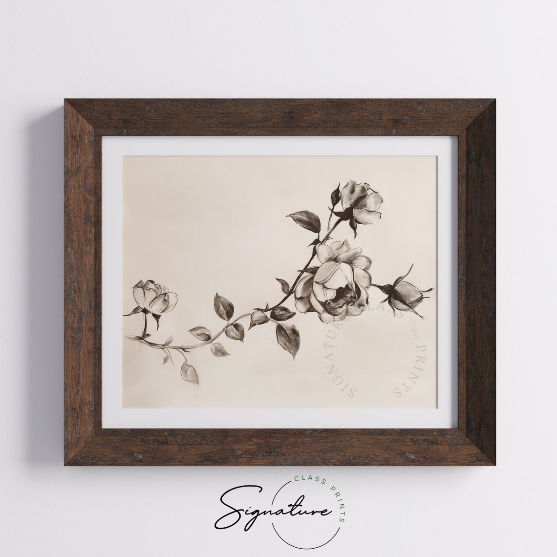 Rose Branch Sepia Pencil Sketch Elegant Vintage Bloom Floral Poster - Image 5