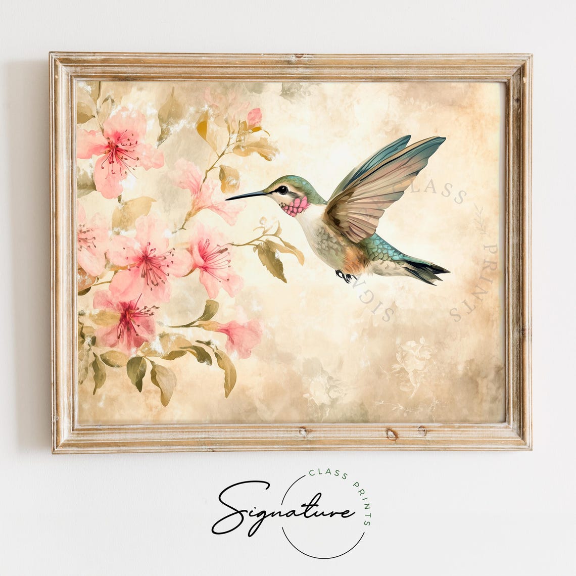 Hummingbird Hovering Near Pink Blossoms Delicate Vintage Wall Art