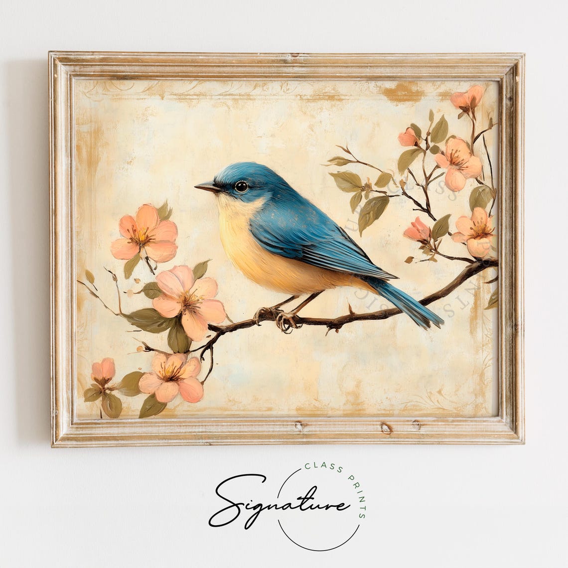 Vintage Bluebird Perched On Pink Blossom Branch Spring Cottage Poster