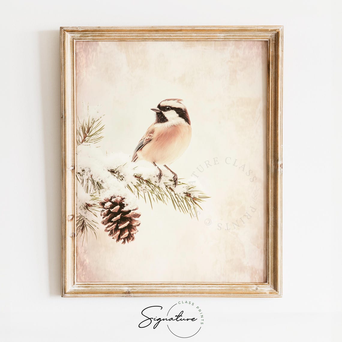 Snowy Chickadee Perched on Frosted Pine Branch Winter Bird Art Poster