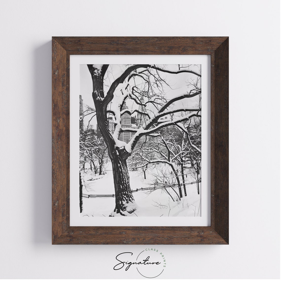 Snow Covered City Park in Black and White Winter Scene Poster - Image 4