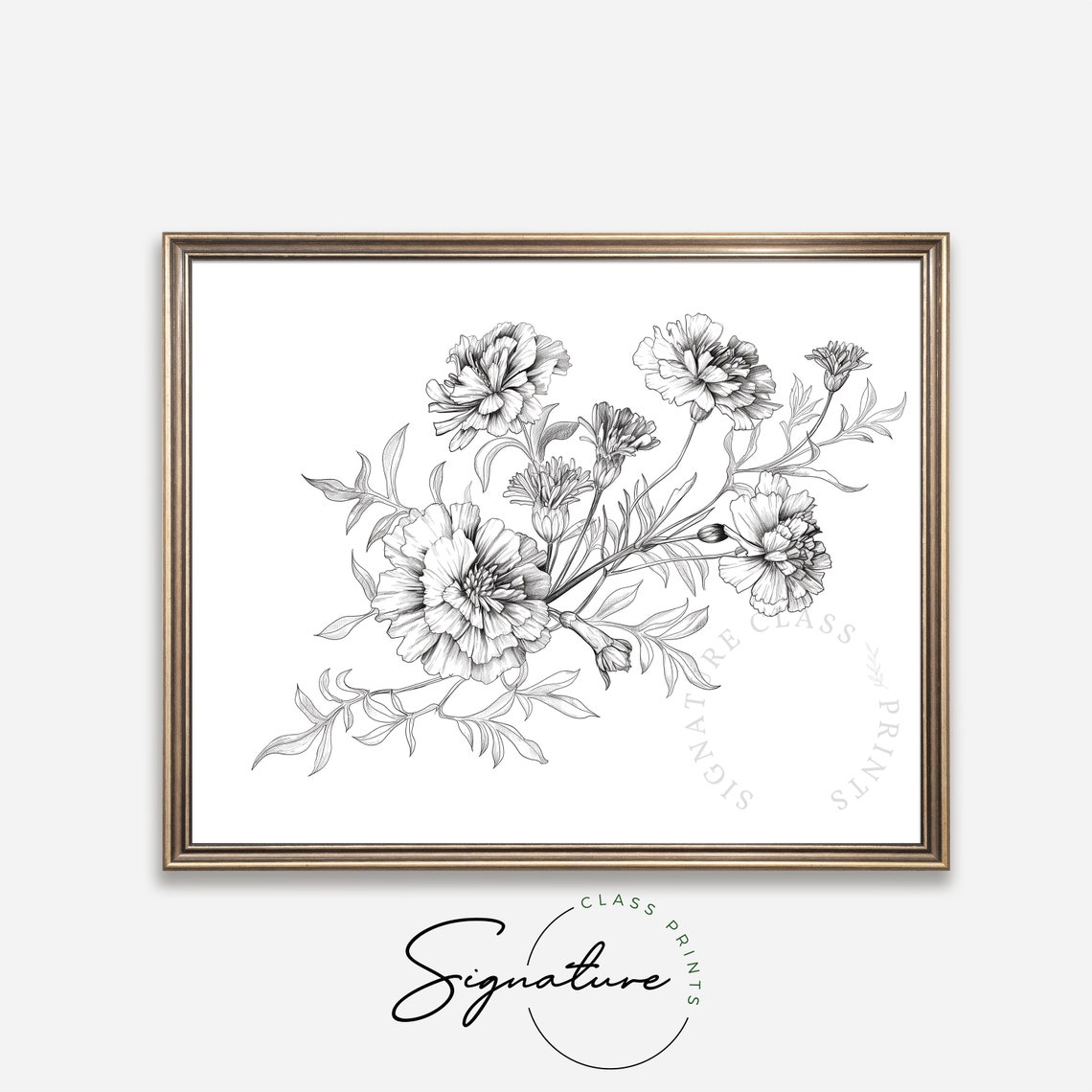 Marigold Cluster Fine Detailed Ink Botanical Line Drawing Poster - Image 4