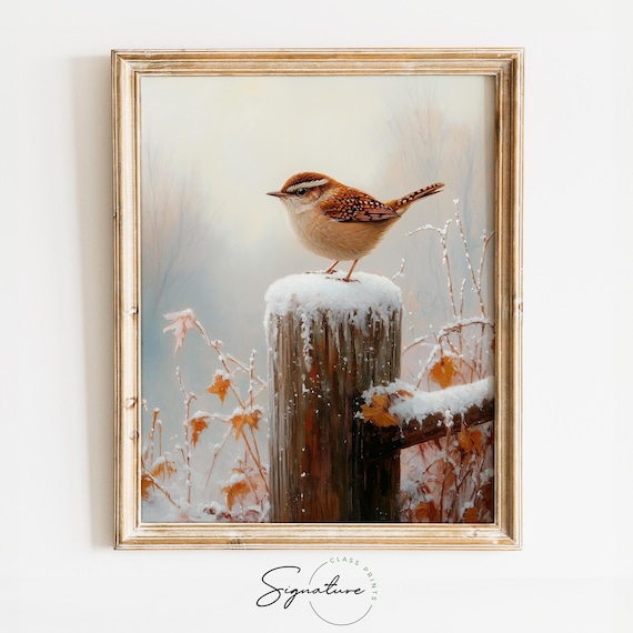 Carolina Wren on Snow Covered Fence Post Winter Wildlife Bird Poster