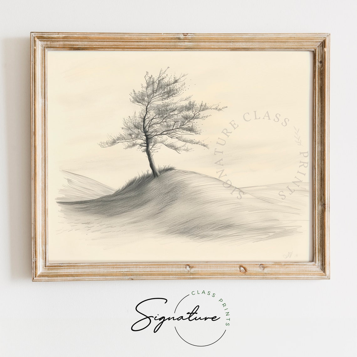 Solitary Tree Rolling Hillside Delicate Pencil Sketch Poster