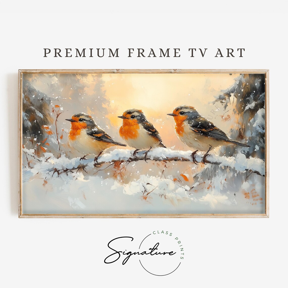Robin Trio On Snowy Branch At Golden Winter Sunset Bird Art Poster