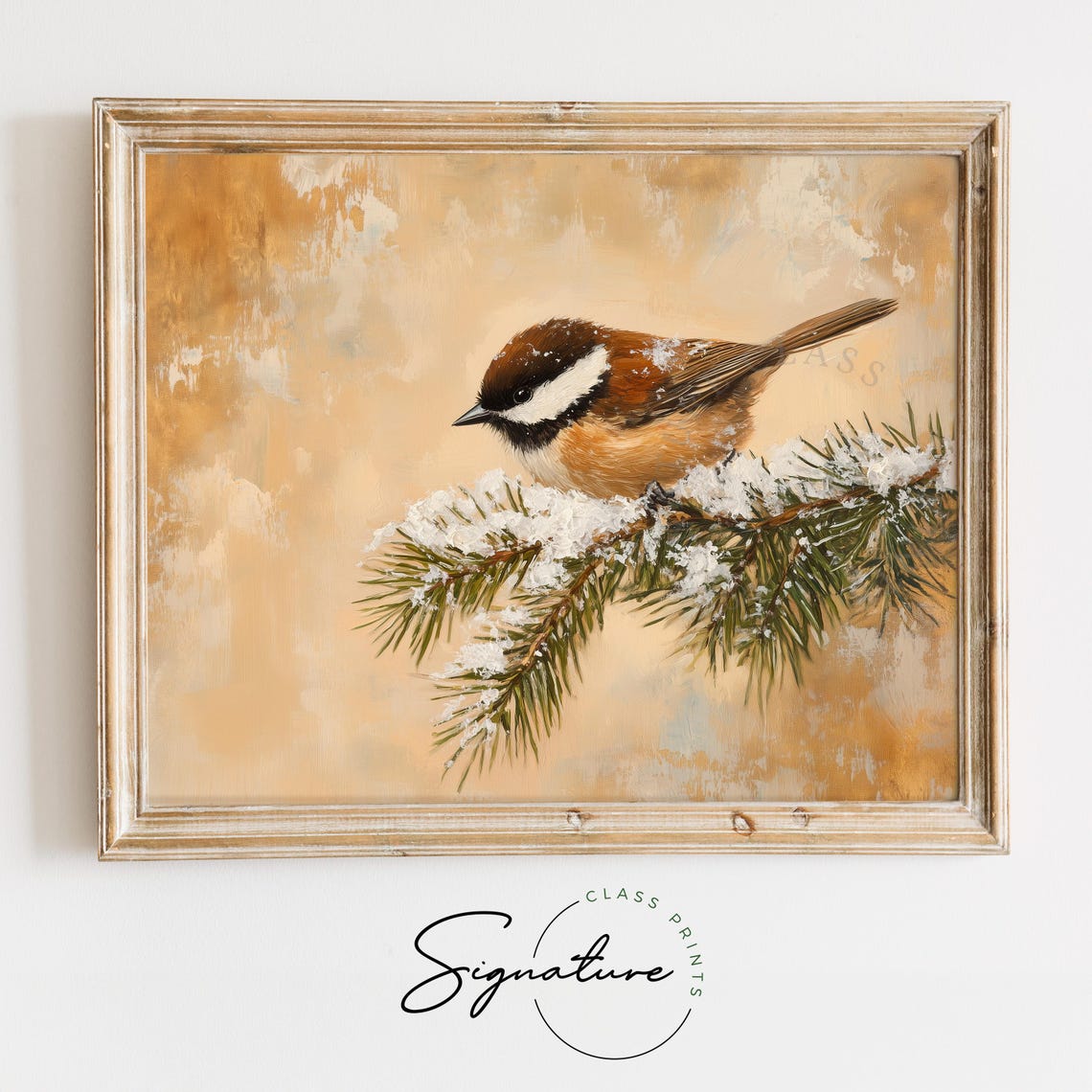 Chestnut Backed Chickadee on Snowy Pine Branch Bird Art Poster