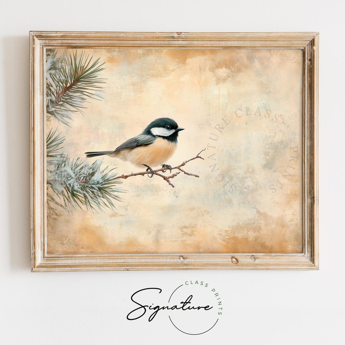Chickadee On Frosted Pine Branch Warm Vintage Winter Bird Wall Art