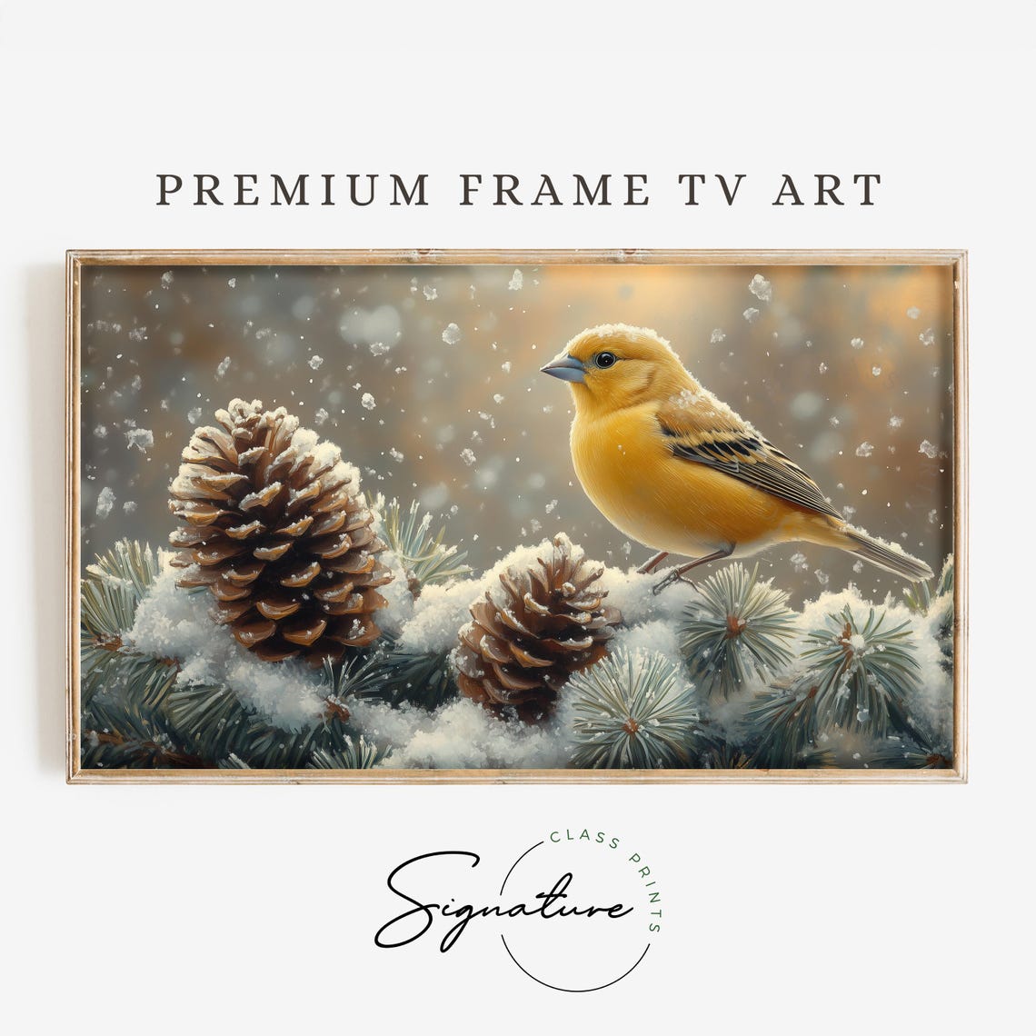 Golden Goldfinch Among Snow Covered Pinecones Winter Bird Art Poster