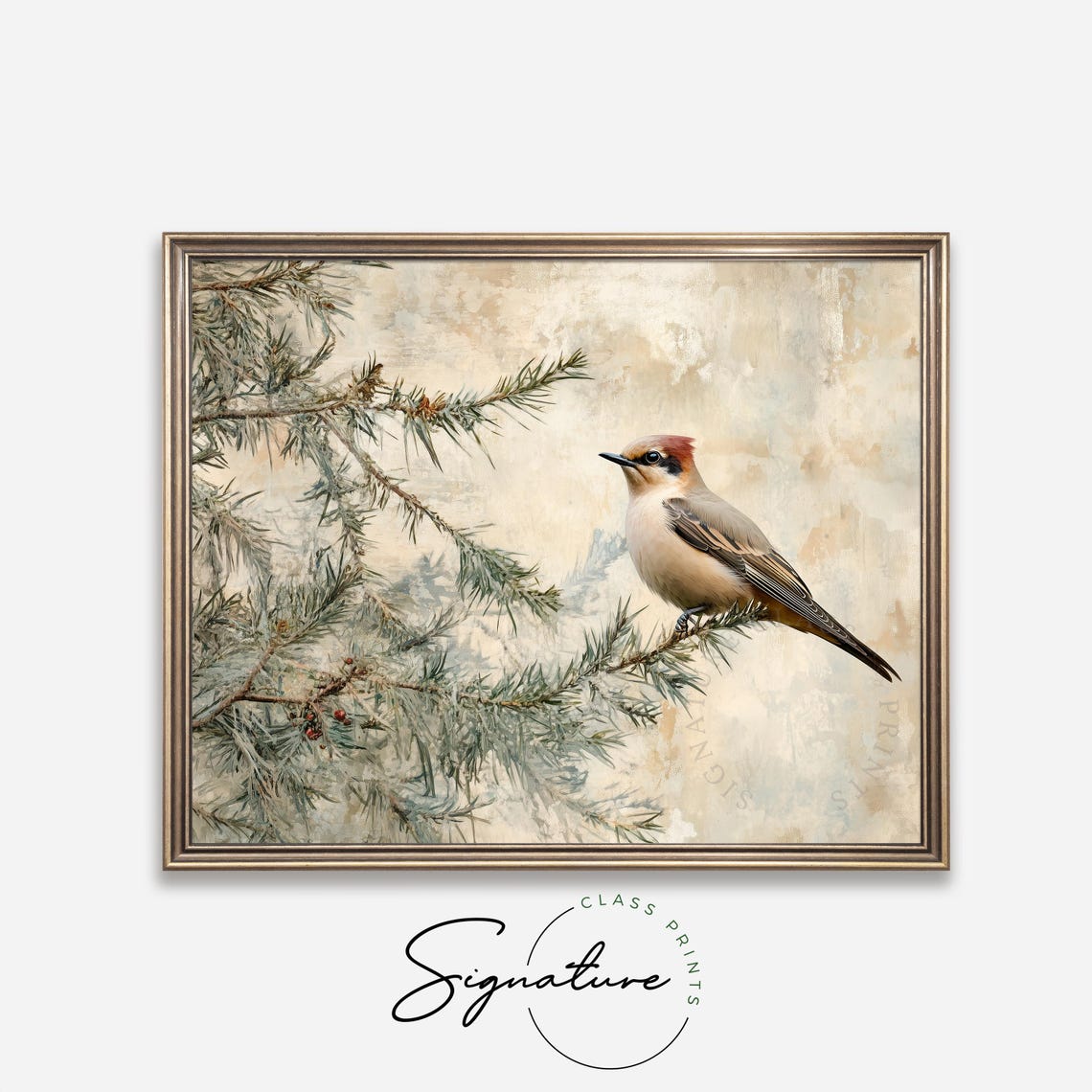 Cedar Waxwing Perched On Snowy Pine Bough Winter Songbird Wall Art - Image 4