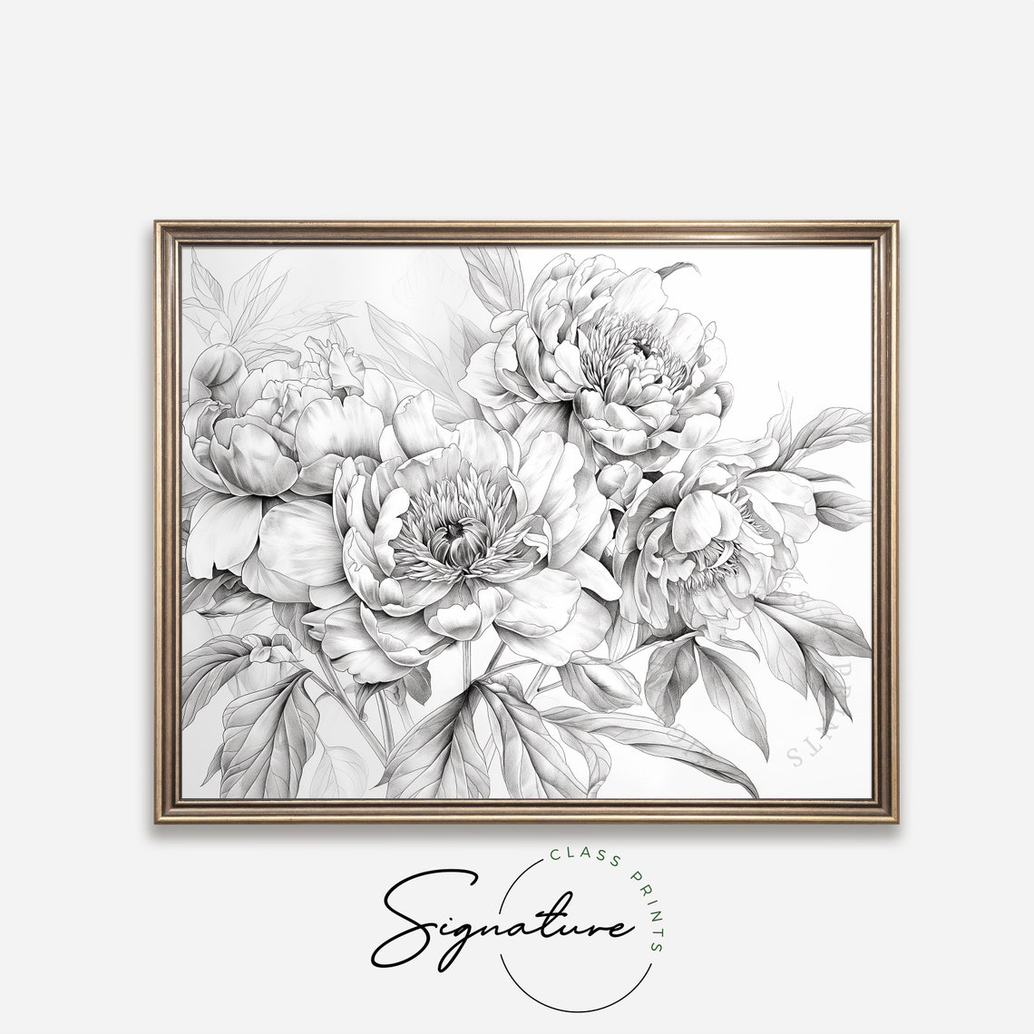 Peony Flowers Graphite Pencil Sketch Detailed Botanical Poster - Image 4