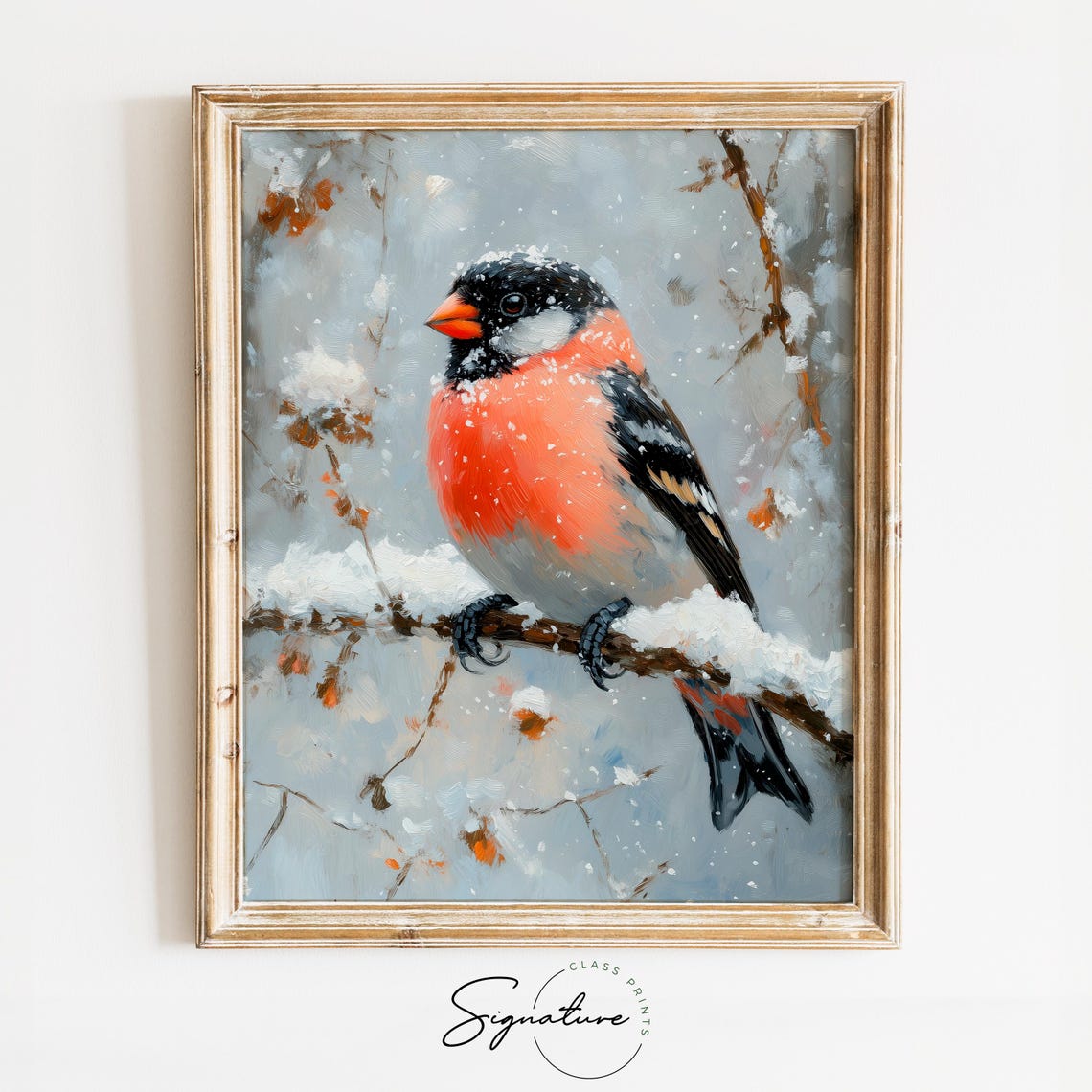 Bullfinch Perched On A Snow Dusted Branch Winter Bird Art Poster