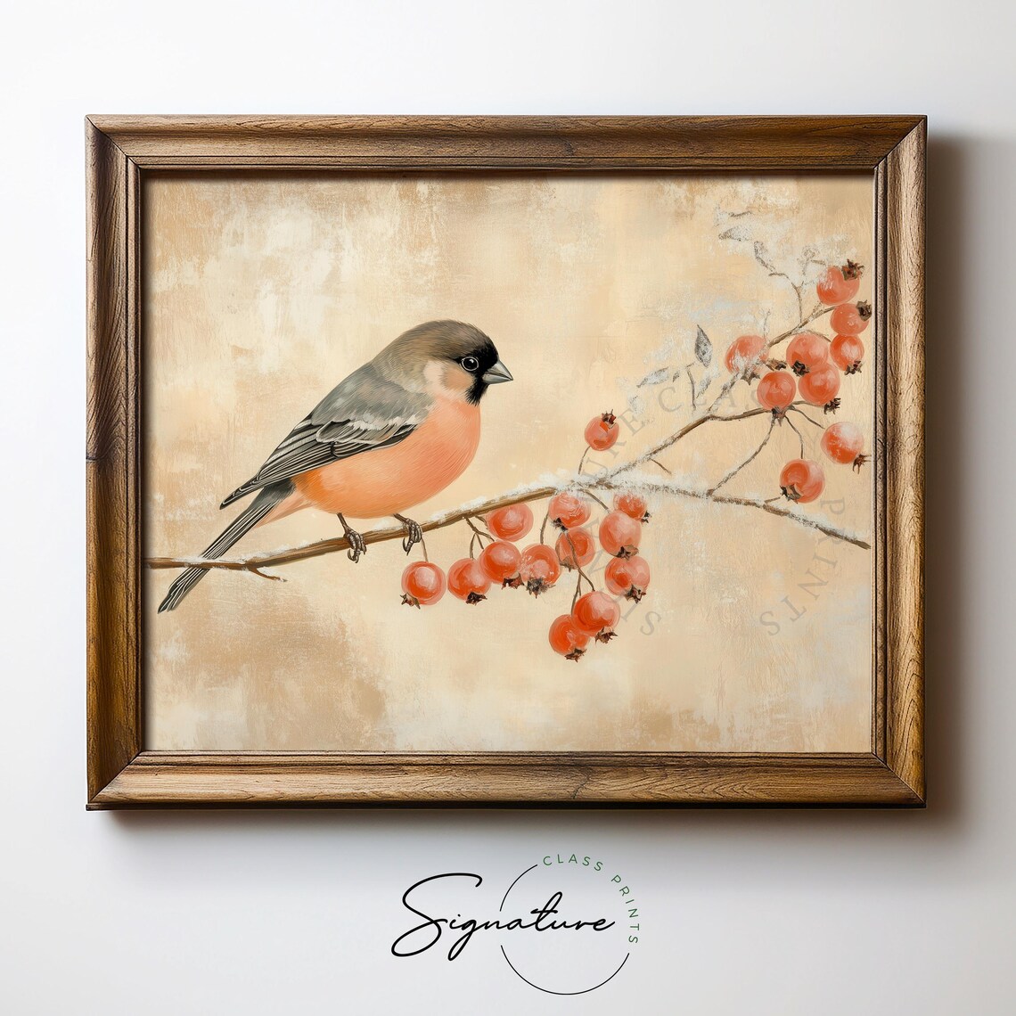 Coral Bullfinch On Frosty Rosehip Branch Vintage Bird Art Poster - Image 5
