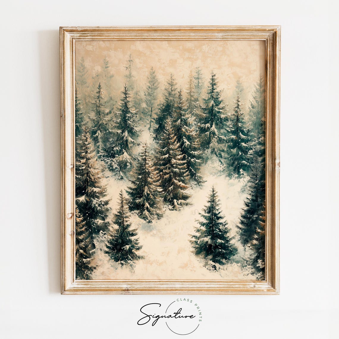 Tall Snowy Pines Framing a Sunlit Winter Valley Vista Poster