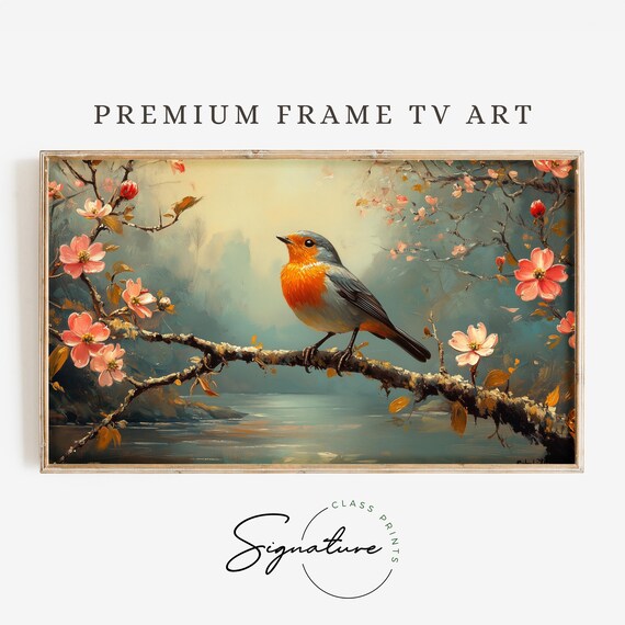 Robin On Flowering Branch Over Misty River Spring Nature Poster