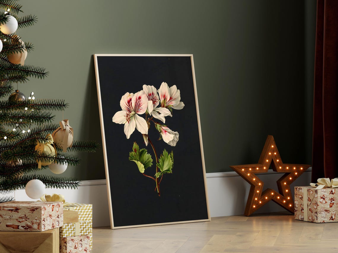 White Geranium Botanical Dark Background Floral Still Life Poster - Image 2