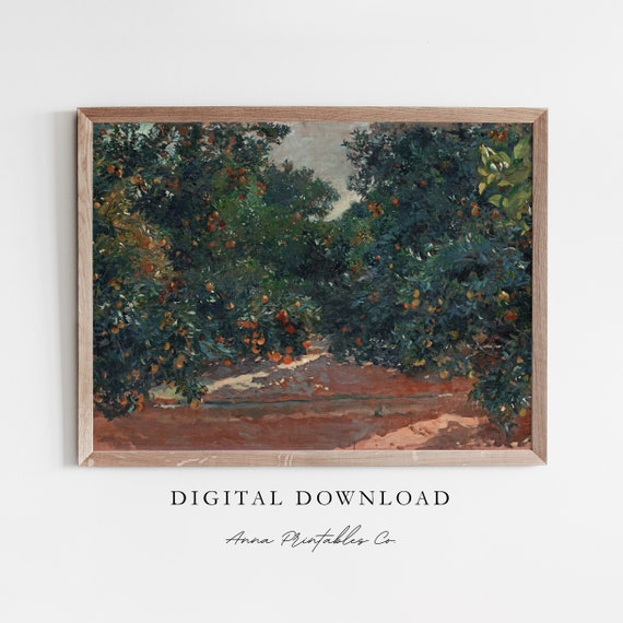 Grove Of Orange Trees Antique Fruit Tree Painting For Rustic Farmhouse Decor Wall Art Vintage Fine Art Print