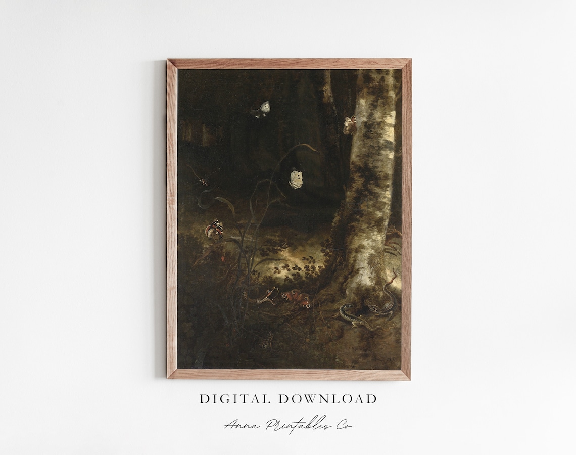 Forest Floor With Reptiles And Butterflies Vintage Nature Art Poster
