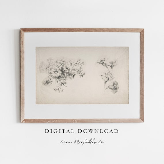 Flower Sketch Antique Floral Drawing, Rustic Farmhouse