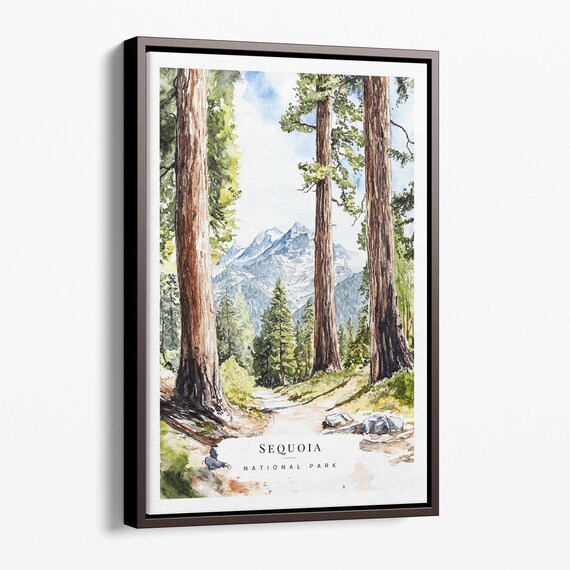 Sequoia National Park Giant Redwoods Mountain Watercolor Poster
