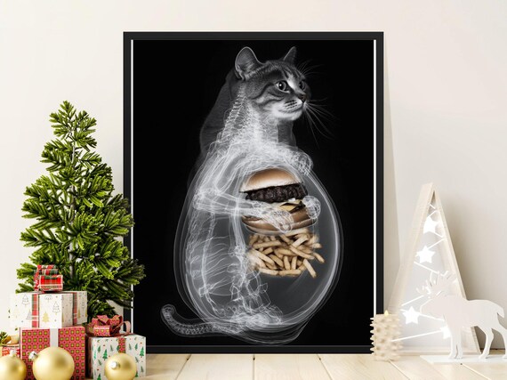 Cat X-Ray Showing Burger and Fries Inside Funny Novelty Anatomy Poster