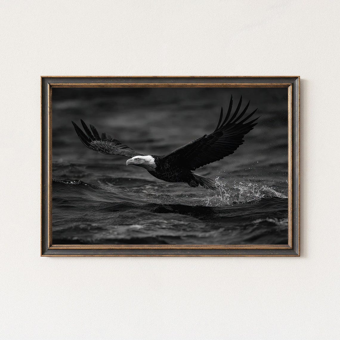 Bald Eagle Diving Over Dark Water Black And White Photo Poster
