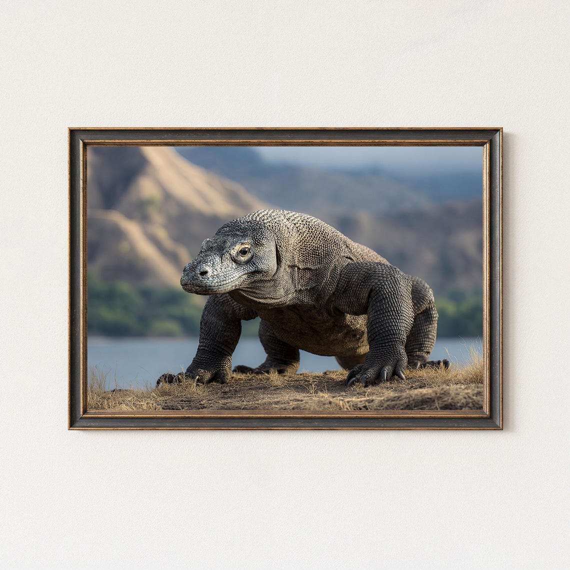 Komodo Dragon Reptile Close Up Portrait Wild Island Habitat Poster