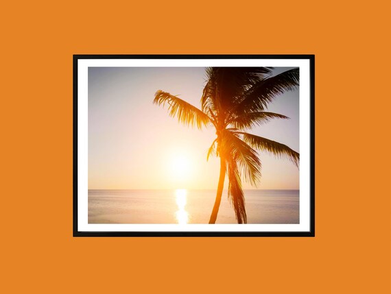Palm Tree Sunset Over Ocean Golden Coastal Photography Art Print