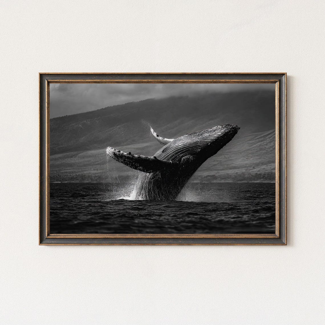 Humpback Whale Breaching Black And White Ocean Wildlife Poster