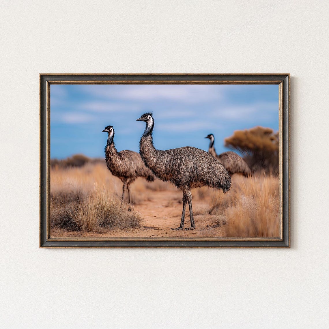 Emu Wildlife Photography Australian Outback Desert Scene Poster