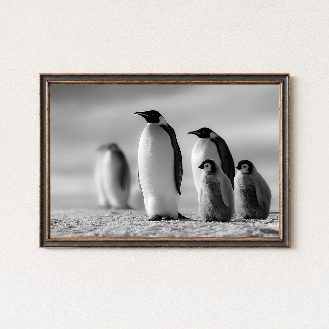 Emperor Penguin Family Black And White Antarctic Snow Poster