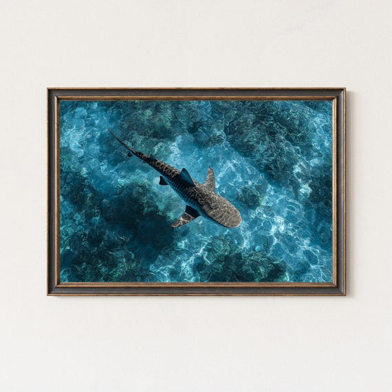 Aerial Photography Over Crystal Clear Reef