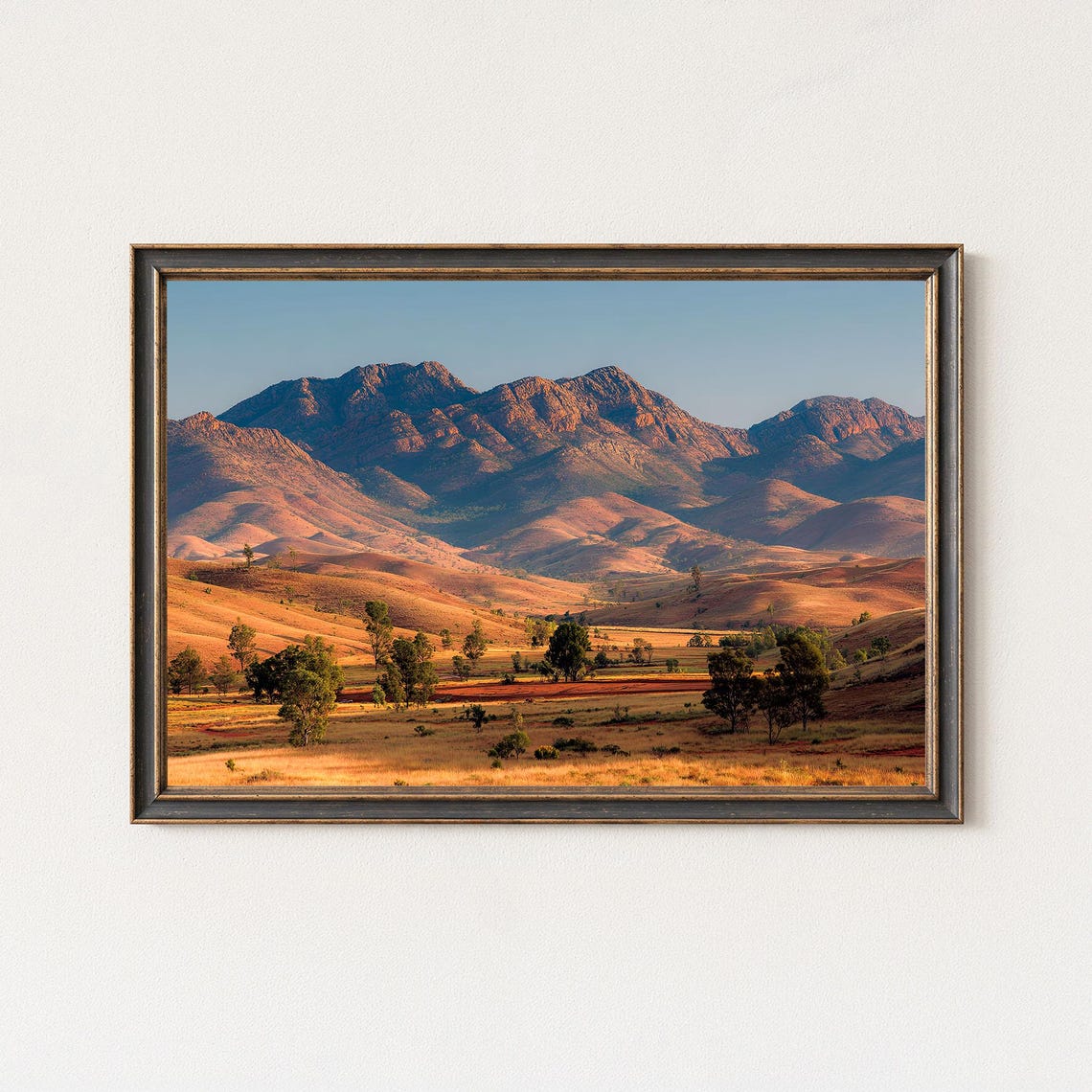Rugged Red Mountain Range Golden Grassland Sunset Landscape Poster