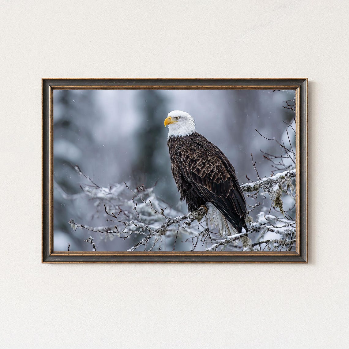Bald Eagle Snowy Branch Winter Wildlife Photography Framed Poster