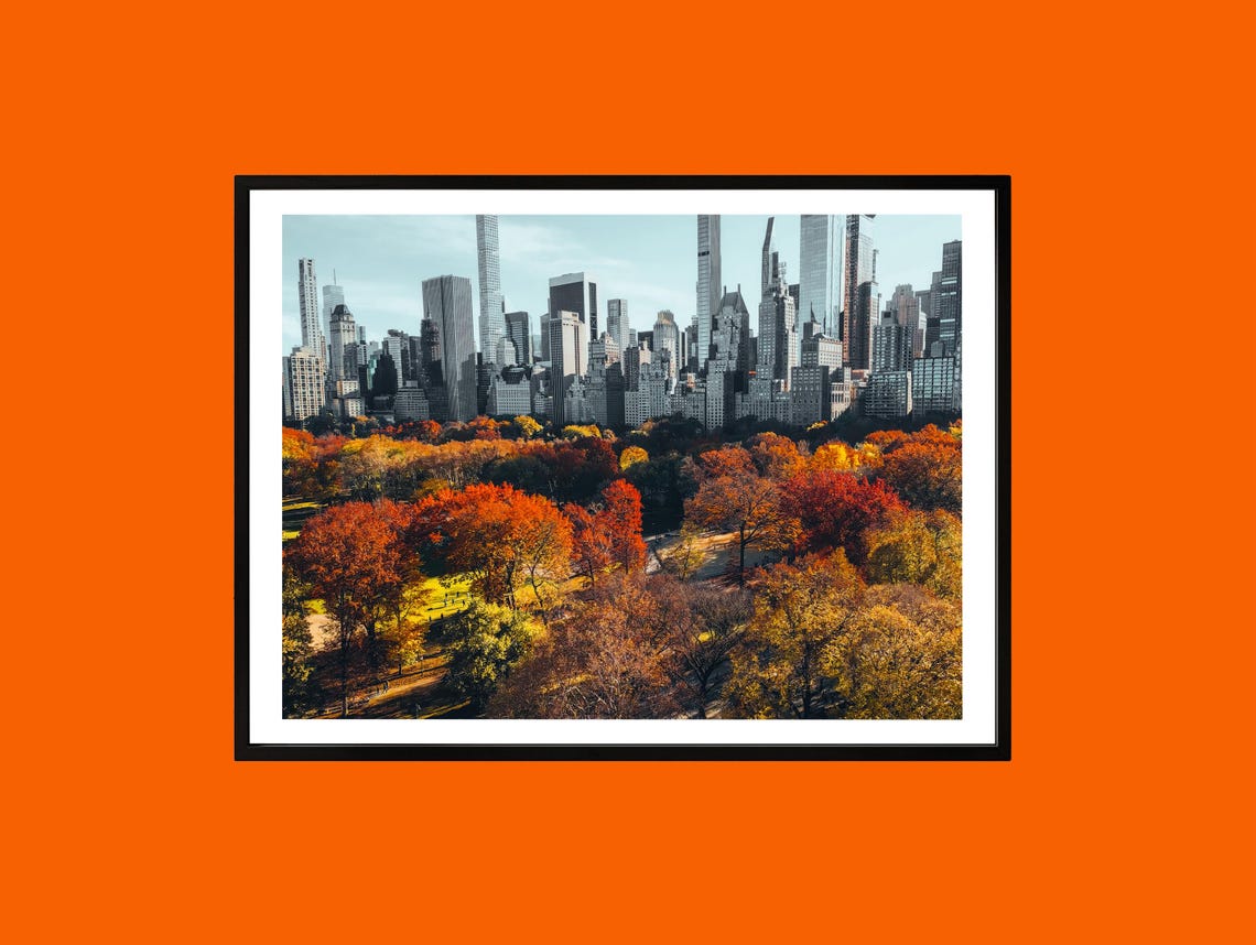 Central Park Autumn Foliage With Manhattan Skyline Photo Print