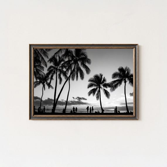 Waikiki Black And White Photography Palm Silhouette Art