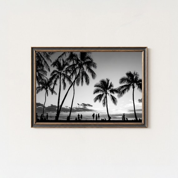 Waikiki Palm Trees Black And White Beach Sunset Photography Poster