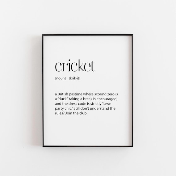 Funny Cricket Gift For Men, Retirement Sports Poster
