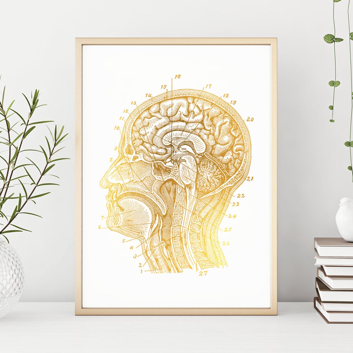 Human Brain Anatomy Gold Foil Vintage Medical Neuroscience Wall Art - Image 3