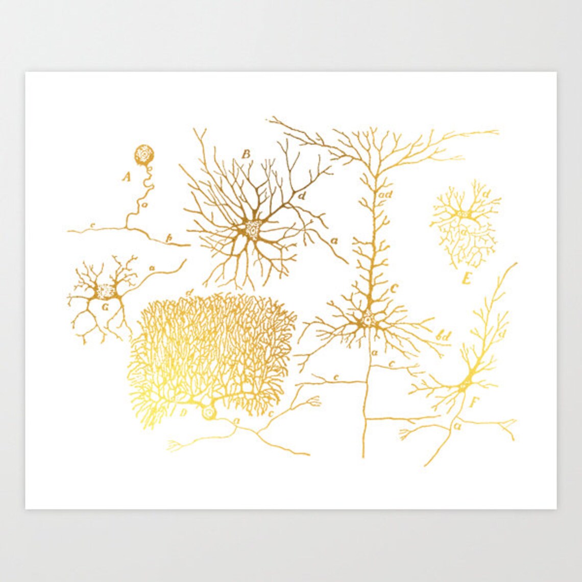 Neuron Neuroscience Vintage Medical Art Print - Image 3