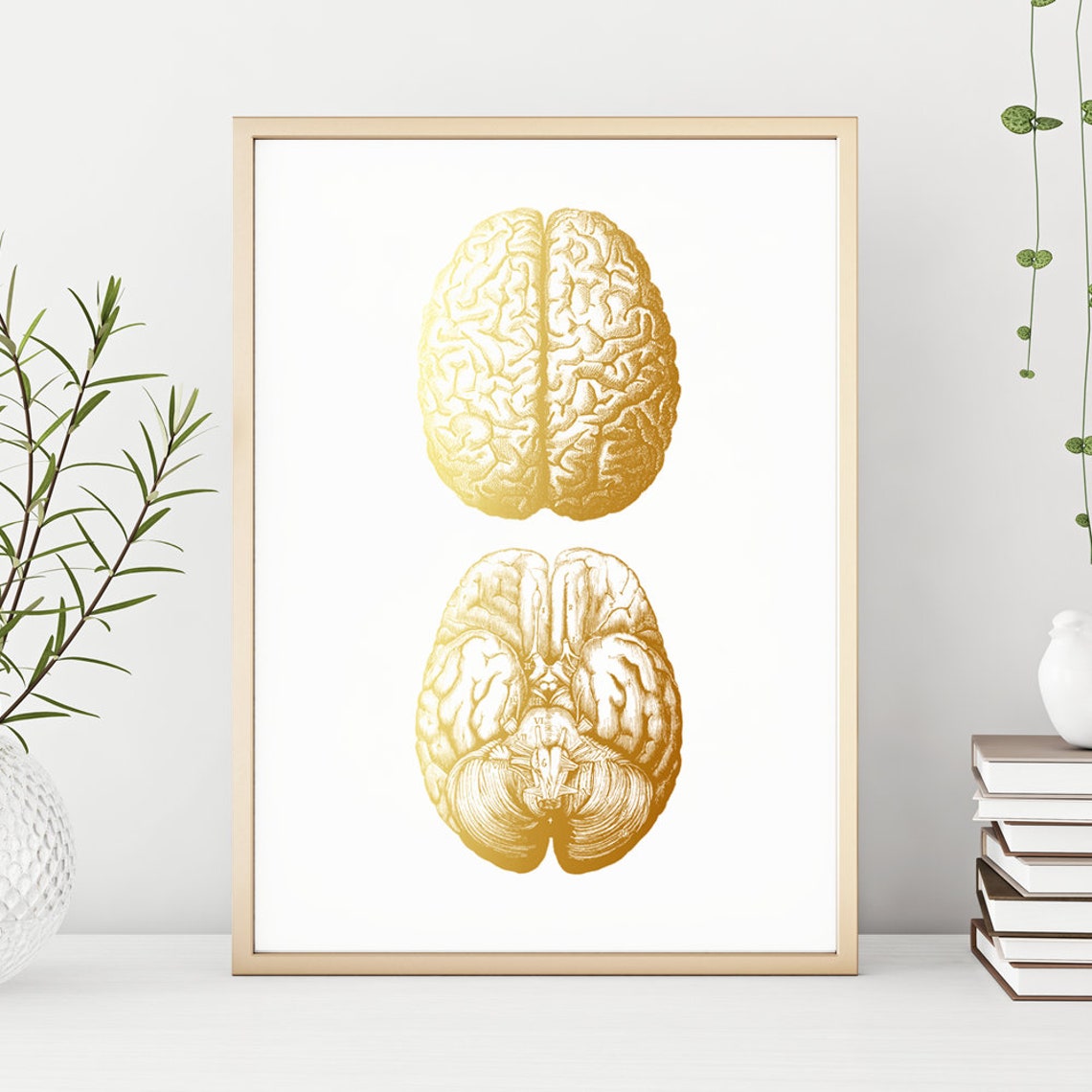 Gold Foil Brain Anatomy Two Views Neuroscience Medical Art Print
