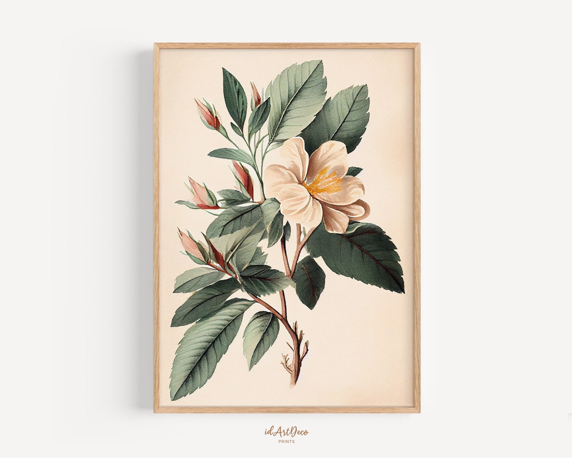 Vintage Botanical Blossom Branch Delicate Flower Buds Cream Poster