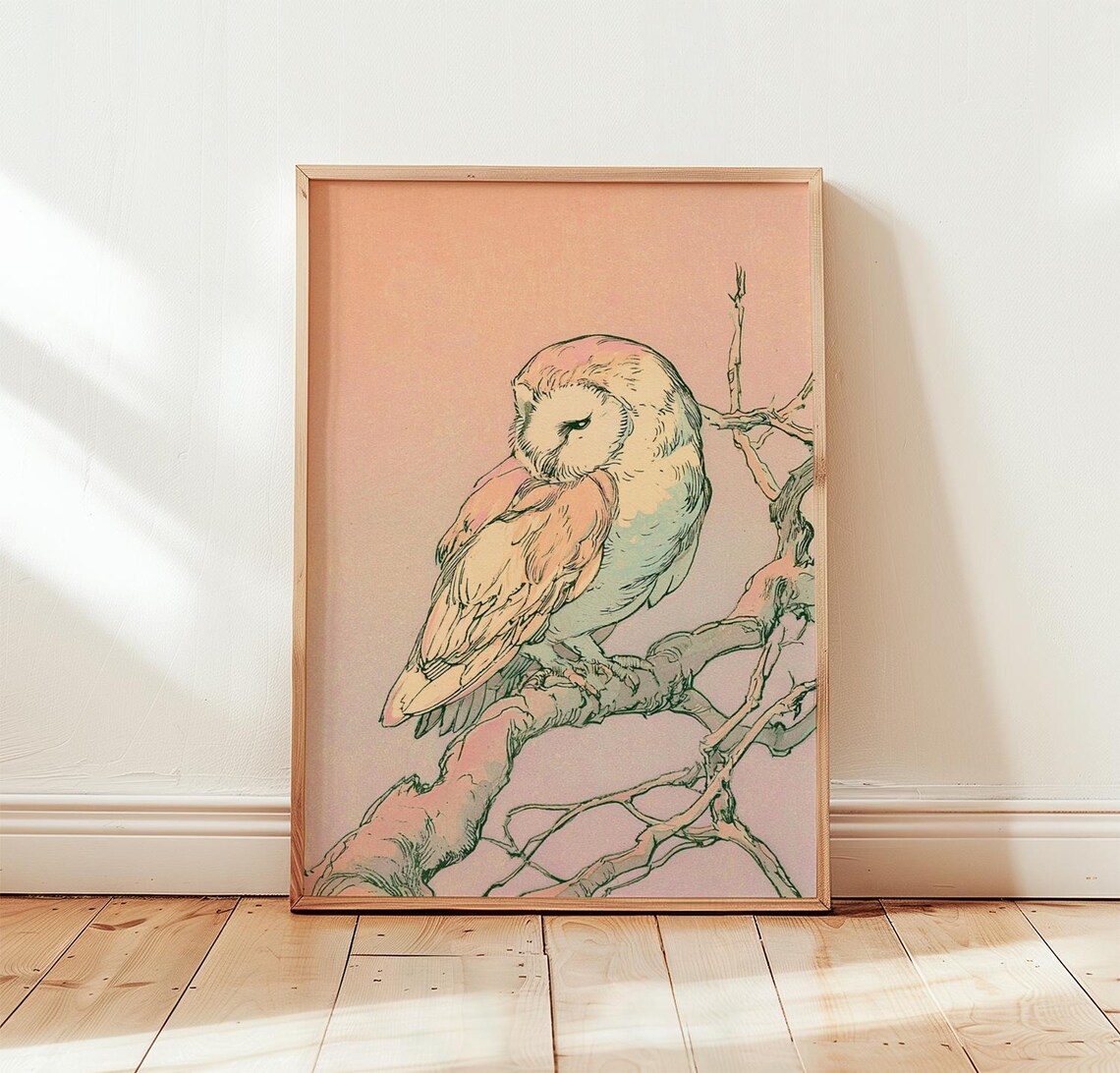 Barn Owl Vintage Bird Art Print