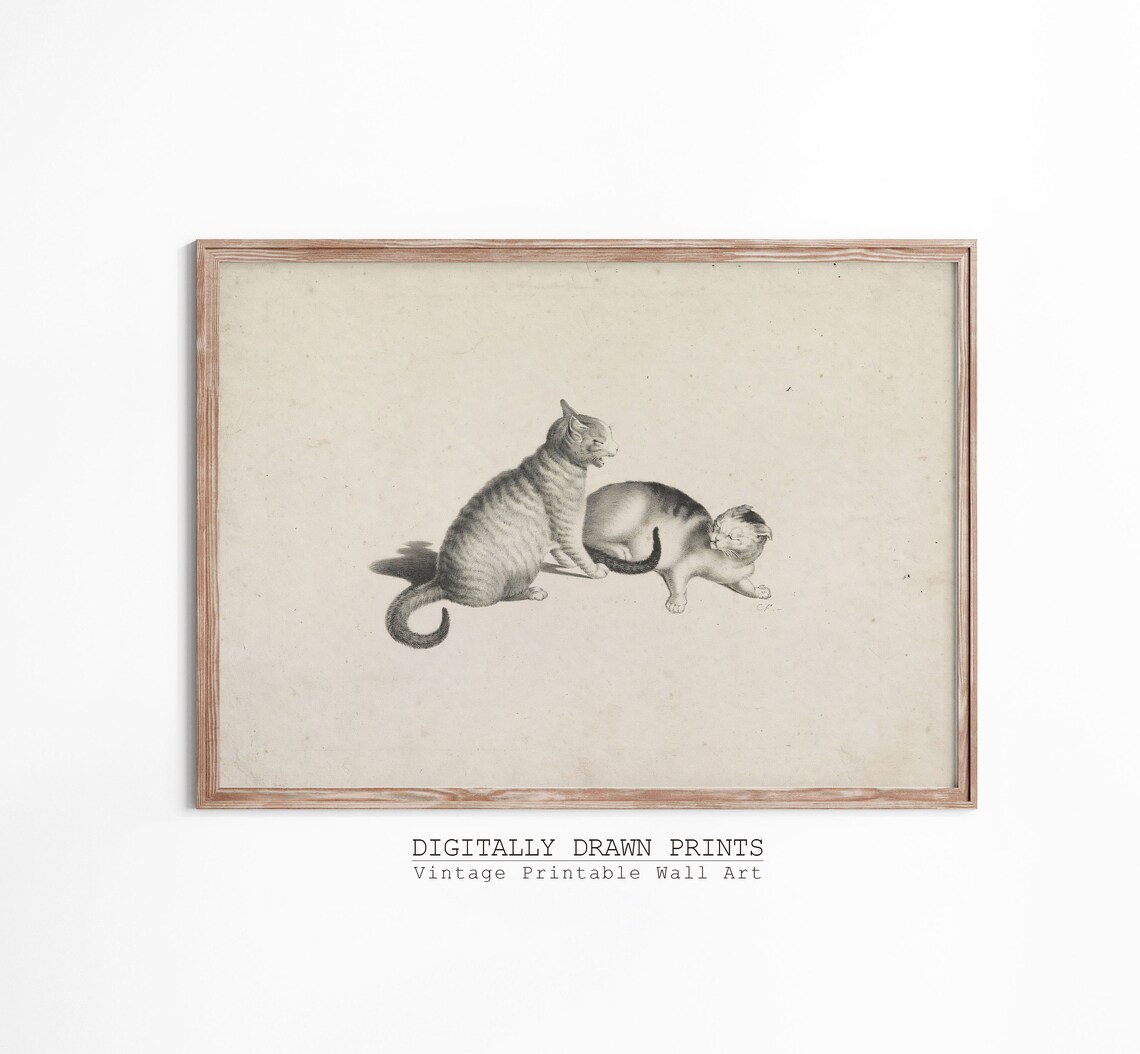 Vintage Cat Print, Antique Car Sketch Still Life - Image 3